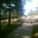 فتح آفاق الاستثمار أمام الخواص في القطاعات الحيوية بغليزان