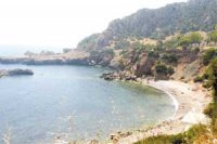 Lorsque l'incivisme s'attaque à la nature