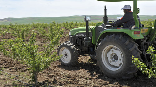Croissance de 3,9% du PIB algérien en 2015