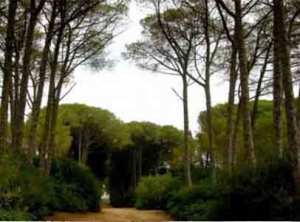 Lutte contre la désertification