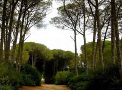 Lutte contre la désertification