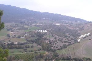 رجال زبرير  بتيبازة.. قصة البركان والخاتم الذي يتحكم في الجن والإنس