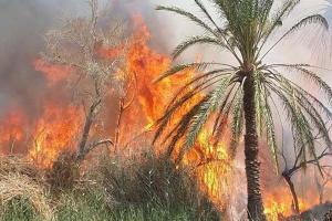 أضرار مادية معتبرة في 5 حرائق منفصلة بالوادي