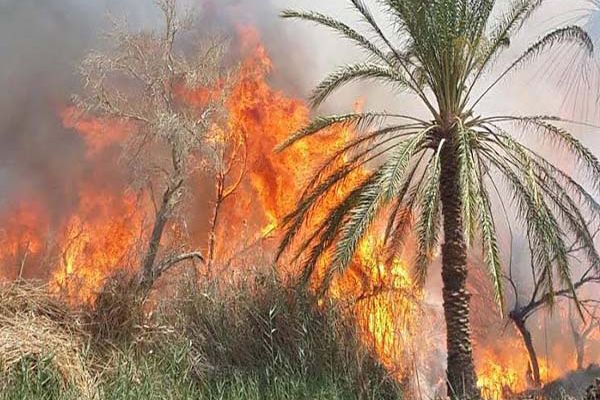 أضرار مادية معتبرة في 5 حرائق منفصلة بالوادي