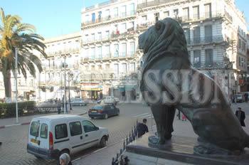 145 logements d'astreinte squattés