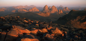 Tamanrasset : Appel à candidature pour un atelier de formation en gestion des évènements culturels