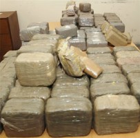 Drogue: Un tsunami de cannabis menace l’Algérie