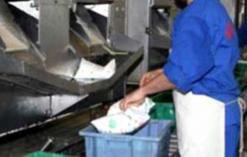 طالبوا بتحسين أوضاعهم المهنية موزعو الحليب بتيزي وزو في إضراب مفتوح