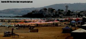 Boumerdès - L'association écologique a 22 ans