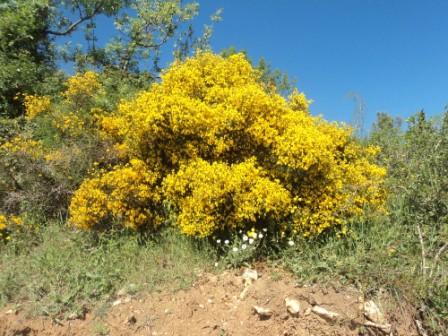 Promenade en pleine nature, le 15 mai 2016