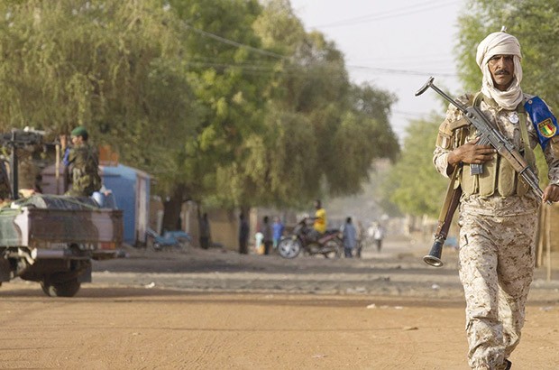 La Cedeao veut créer une force armée mixte