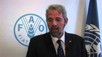 فروخي يرسم الخطوط العريضة لبرنامج التنمية الفلاحية في المناطق الجبلية بسكيكدة