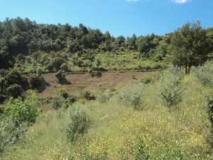 Promenade en pleine nature, le 15 mai 2016