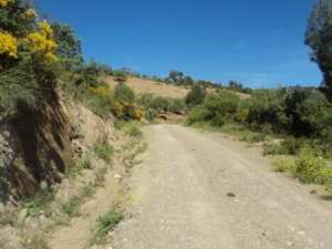 Promenade en pleine nature, le 15 mai 2016