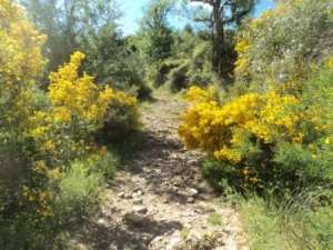 Promenade en pleine nature, le 15 mai 2016