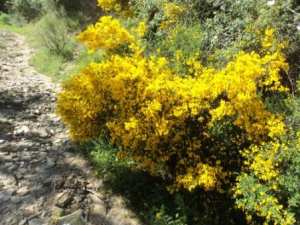 Promenade en pleine nature, le 15 mai 2016