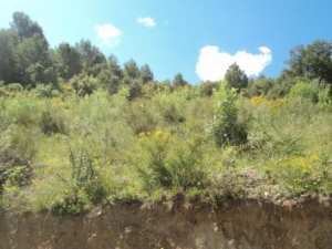 Promenade en pleine nature, le 15 mai 2016