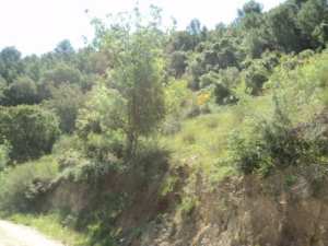 Promenade en pleine nature, le 15 mai 2016