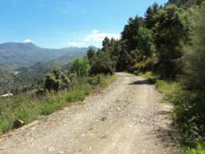 Promenade en pleine nature, le 15 mai 2016
