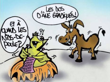 Vers l'éradication des « dos d'ânes » anarchiques