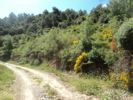 Promenade en pleine nature, le 15 mai 2016