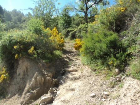 Promenade en pleine nature, le 15 mai 2016
