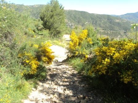 Promenade en pleine nature, le 15 mai 2016