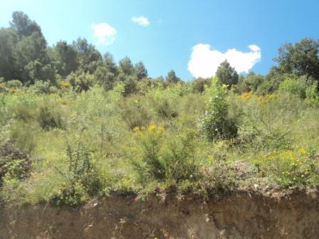 Promenade en pleine nature, le 15 mai 2016