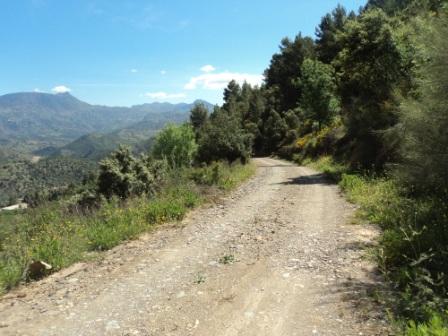 Promenade en pleine nature, le 15 mai 2016