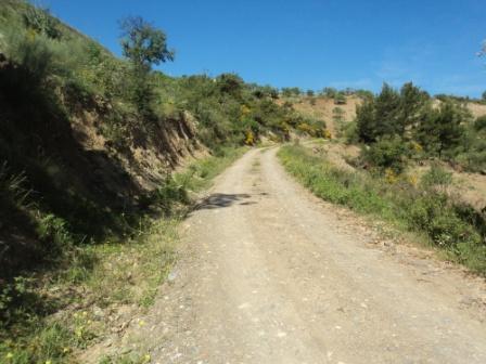Promenade en pleine nature, le 15 mai 2016