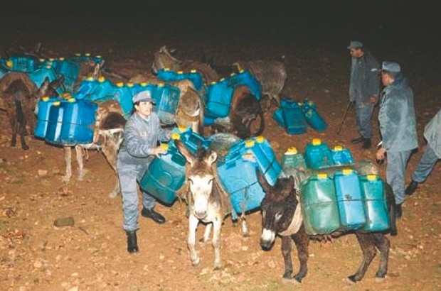 La contrebande a diminué de 50%