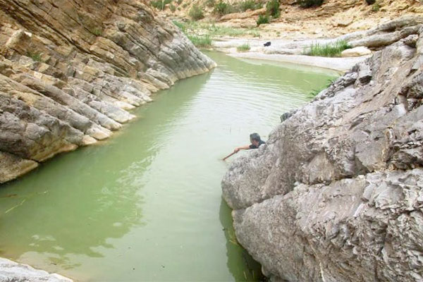 غرق أربعة أطفال في بركة مائية بالجلفة