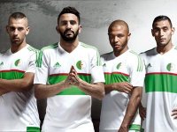 Deux titres de champion, deux coupes et des distinctions individuelles à gogo !