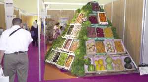 Algex optimiste pour les prochaines années