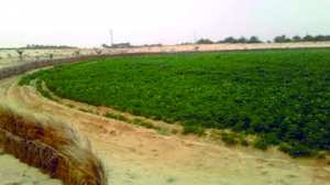 Des terres immenses encore vierges et une minorité louée