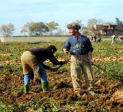 Boumerdès / Produits agricoles
