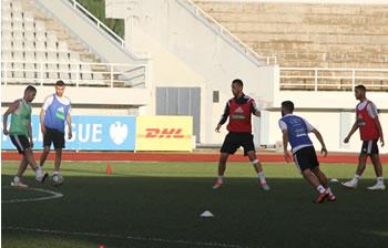 Les Verts peaufinent les derniers réglages