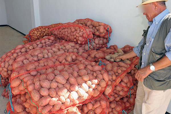 منتجات فلاحية من الوادي لتغطية موسم الحج بالسعودية