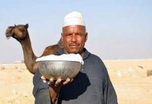 بالشراكة مع موالين مختصين ببشار