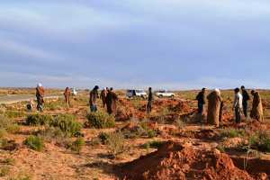 المزارع غير الشرعية بالوادي تقضي على الأراضي الرعوية