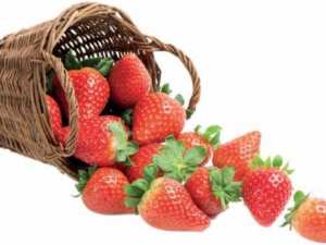 La reine indétrônable