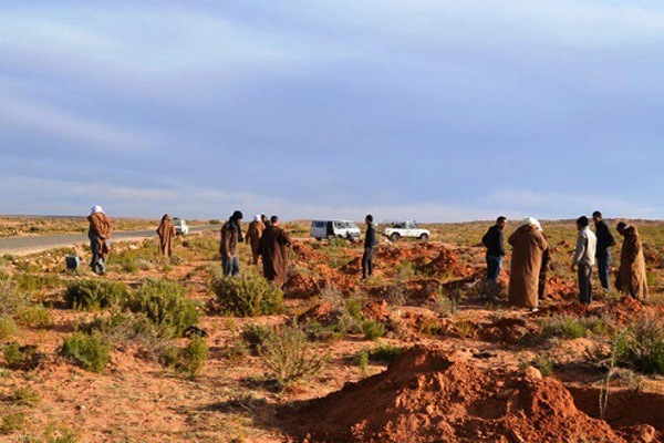 المزارع غير الشرعية بالوادي تقضي على الأراضي الرعوية