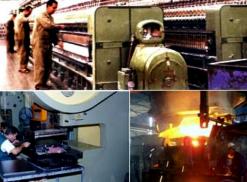 في ظل غياب المرافقة والتكوين وثقل الأعباء الجبائية إفلاس 113 مؤسسة صغيرة ومتوسطة بوهران