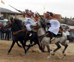 بعدما كانت أداة للتباهي والتفاخر               تراجع كبير في تربية الخيول بالنعامة