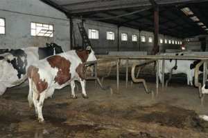 تخوف من انتشار الحمى المالطية على نطاق واسع بولاية غرداية