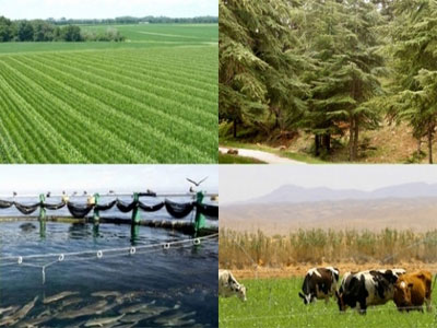 Nouveau plan agricole FILAHA 2019