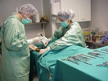 Blouses blanches et robes noires débattent