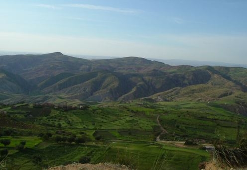 برنامج لدعم الفلاحة الجبلية بولاية البليدة