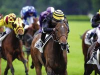 AZTEQUE,UN TOP WEIGHT DE CHARME