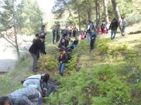 Volontariat à la forêt de Harouza